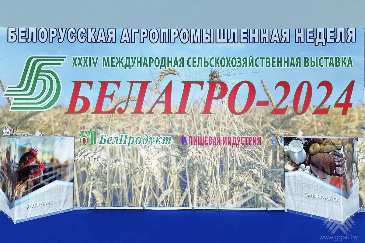 УО «ГГАУ» на 34-й международной выставке «Белагро-2024» - Гродненский  государственный аграрный университет